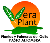 logo-slider3